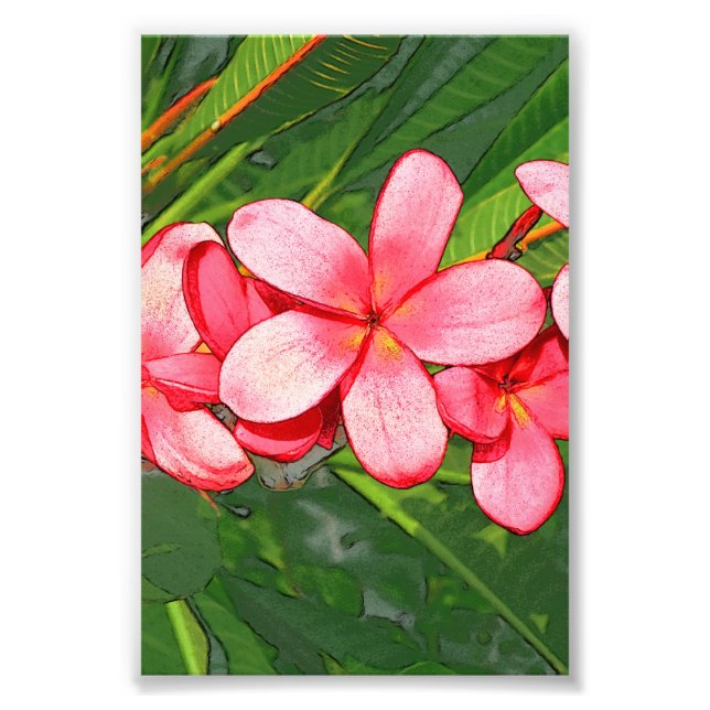 plumeria photo print (Front)