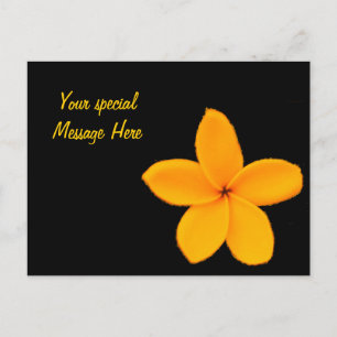 Plumeria Postcard