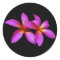 Plumeria purple on black background