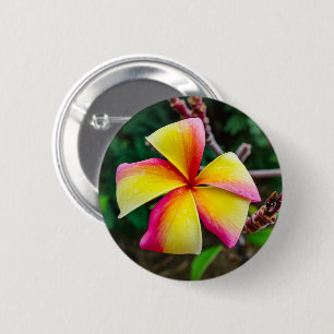 Plumeria rubra 6 cm round badge