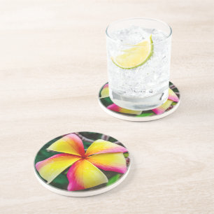 Plumeria rubra coaster