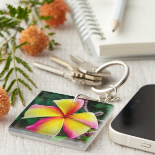 Plumeria rubra key ring