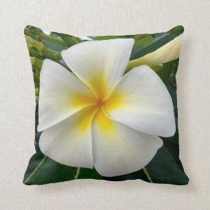 Plumeria Throw Pillow