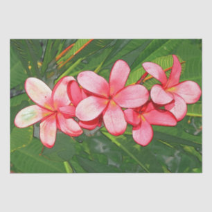 Plumeria Tissue Paper