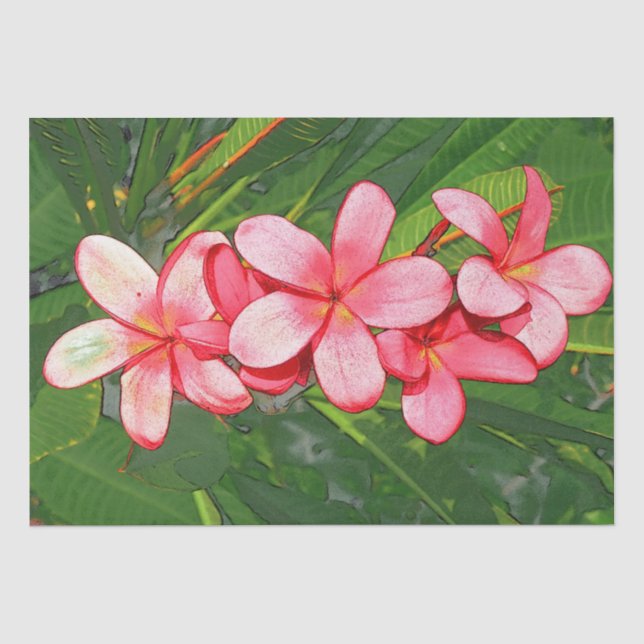 Plumeria Tissue Paper (Front)