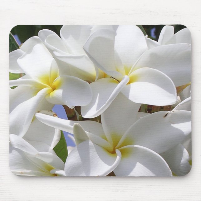 Plumeria Tropical Flowers Mouse Pad (Front)
