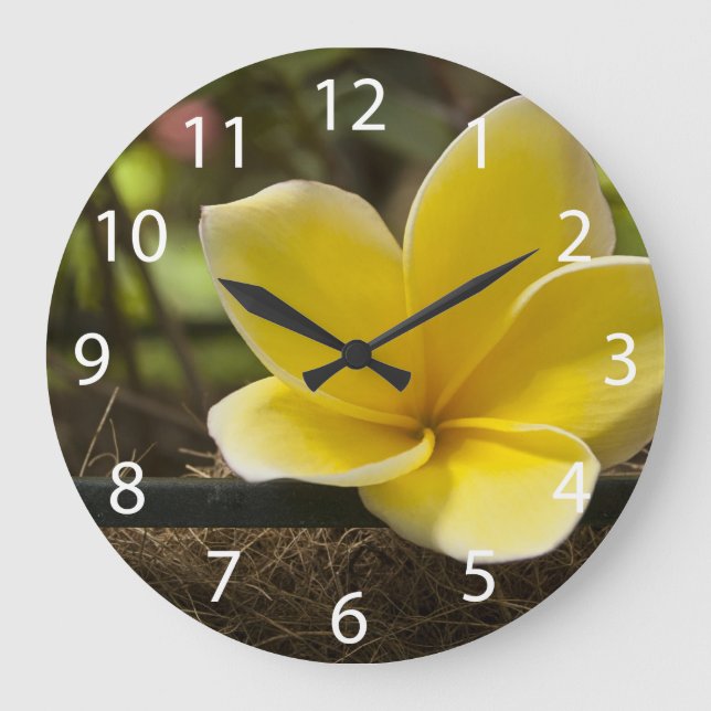 Plumeria Wall Clock (Front)