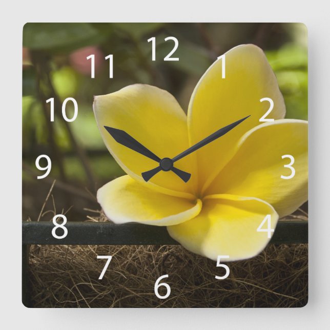 Plumeria Wall Clock (Front)