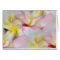 Plumeria Watercolor Card