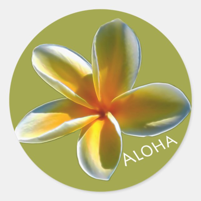 Plumeria with Aloha Classic Round Sticker (Front)