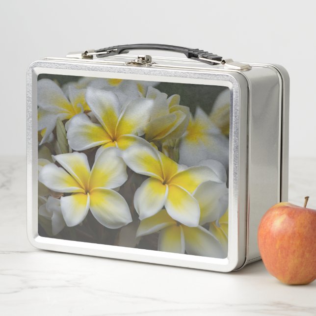 Plumeria, Yellow Flower Photography Metal Lunch Box (In Situ)