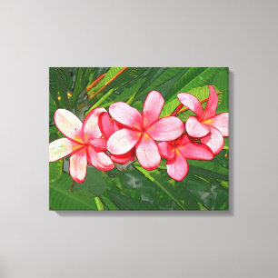 Plumerias Canvas Print