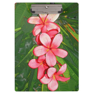 Plumerias Clipboard