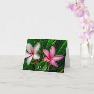Plumerias in White and Pink Folded Greeting Card