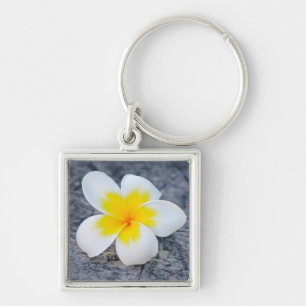 Plumerias Key Ring