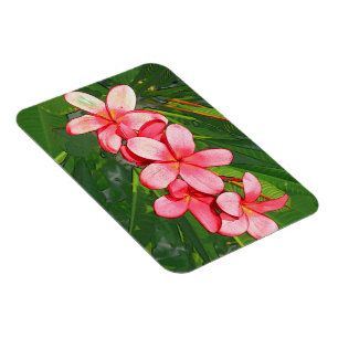 Plumerias Magnet