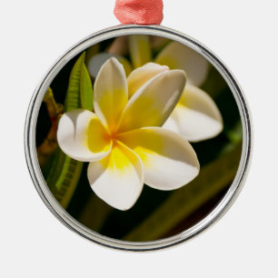 Plumerias Metal Tree Decoration