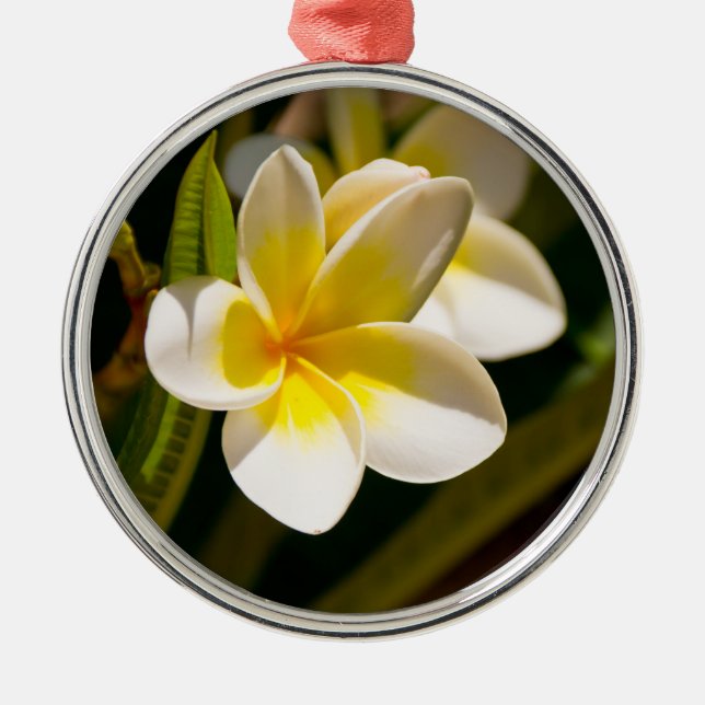 Plumerias Metal Tree Decoration (Front)