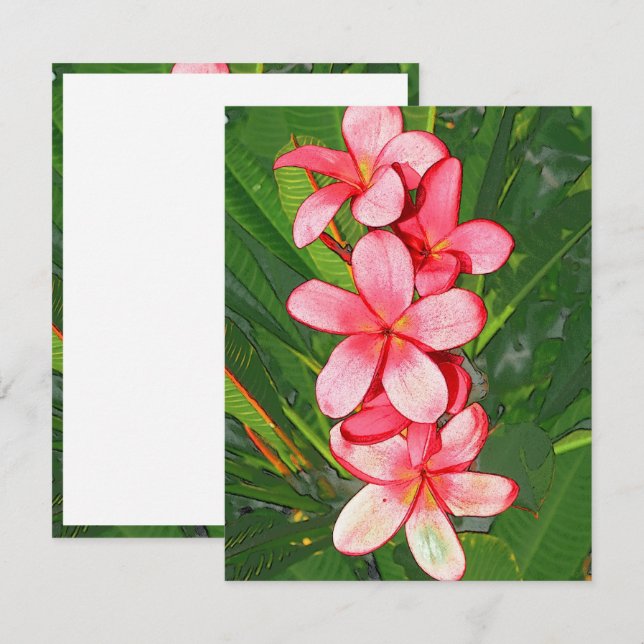 Plumerias pink  card (Front/Back)