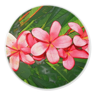 Plumerias pink ceramic knob