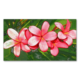Plumerias pink   magnetic business card