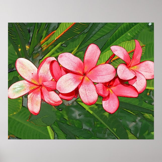 Plumerias pink  poster (Front)