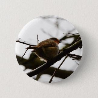 Plump English Robin 6 Cm Round Badge