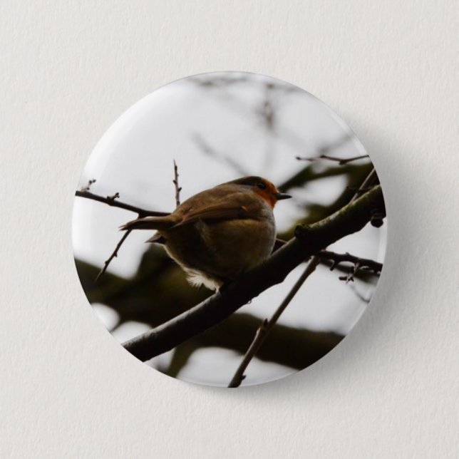 Plump English Robin 6 Cm Round Badge (Front)