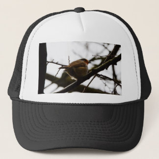 Plump English Robin Trucker Hat