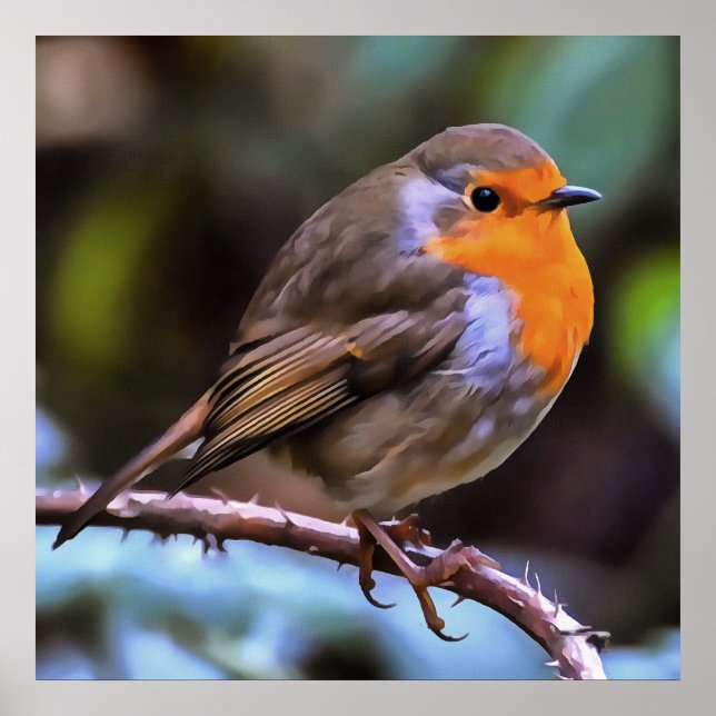 Plump Robin Perched On A Branch Wildlife Art Poster (Front)