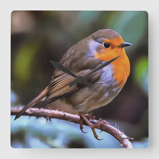 Plump Robin Perched On A Branch Wildlife Art Square Wall Clock (Front)