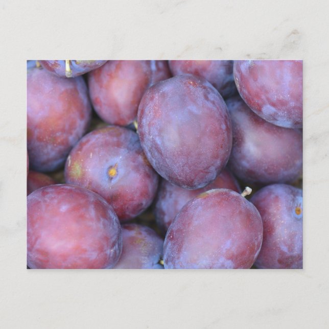 Plums card (Front)