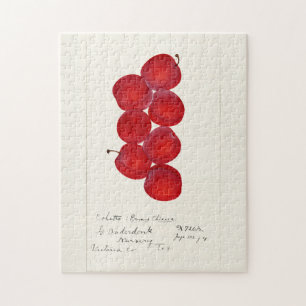 Plums (Prunus Domestica) Fruit Watercolor Painting Jigsaw Puzzle