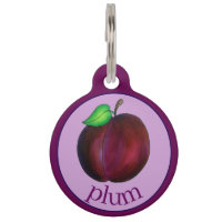 Plums Ripe Summer Purple Plum Fruit Illustration