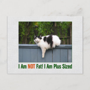 Plus Sized Kitty Postcard