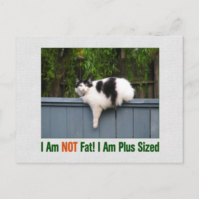 Plus Sized Kitty Postcard (Front)