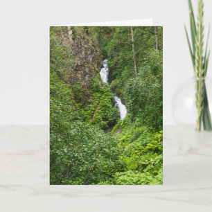 Plush Thunderbird Painterly Card