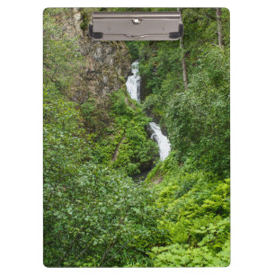 Plush Thunderbird Painterly Clipboard