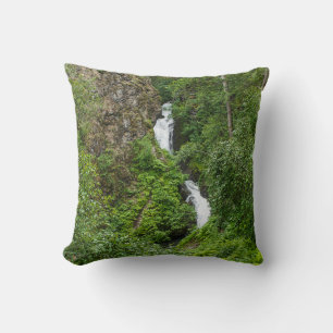 Plush Thunderbird Painterly Cushion