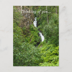 Plush Thunderbird Painterly Postcard