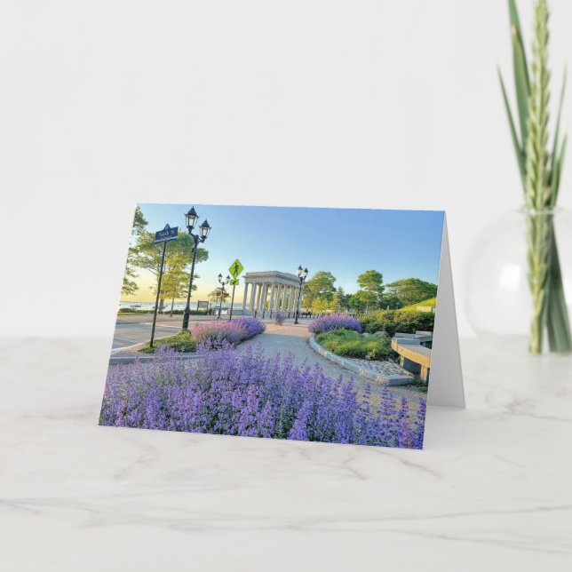 Plymouth Rock canopy with catmint  Thank You Card (Front)