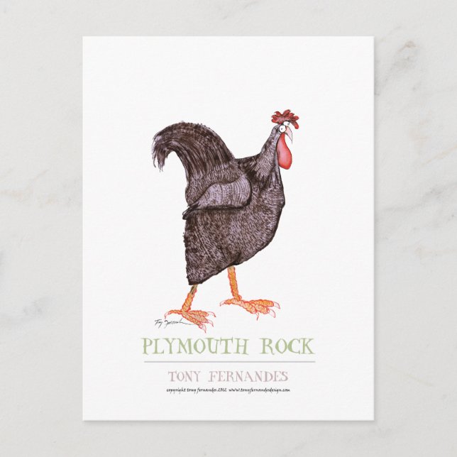 PLYMOUTH ROCK HEN, tony fernandes Postcard (Front)