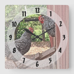 Plymouth Rock Hens Square Wall Clock