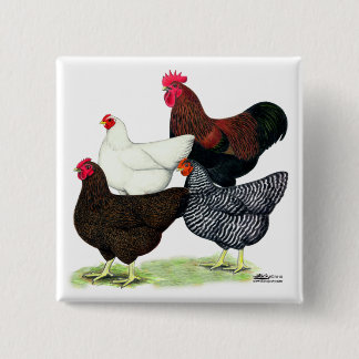 Plymouth Rock Quartet 15 Cm Square Badge