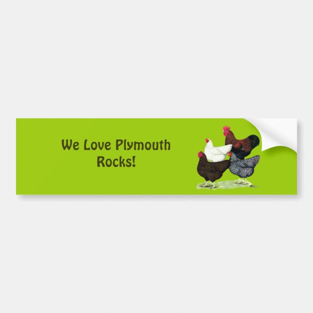 Plymouth Rock Quartet Bumper Sticker (Front)