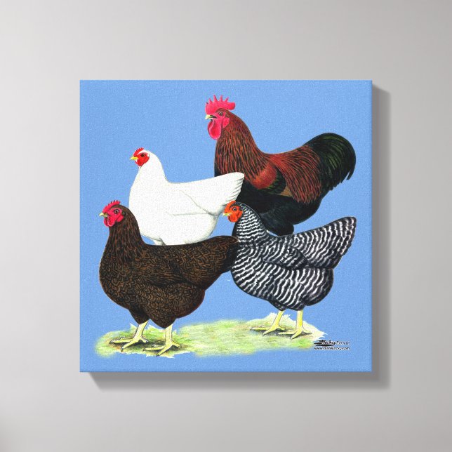 Plymouth Rock Quartet Canvas Print (Front)