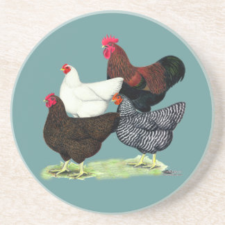 Plymouth Rock Quartet Coaster