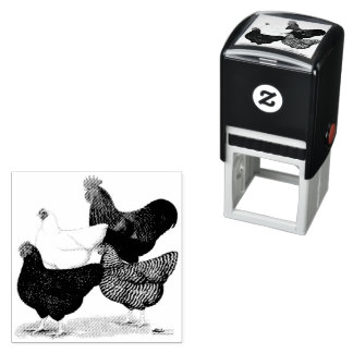 Plymouth Rock Quartet Self-inking Stamp