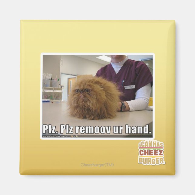 Plz remoov ur hand magnet (Front)