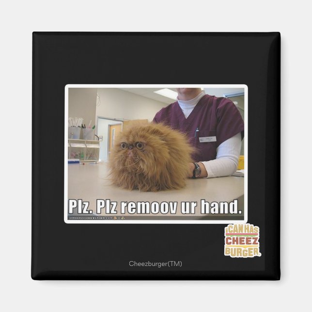 Plz remoov ur hand magnet (Front)